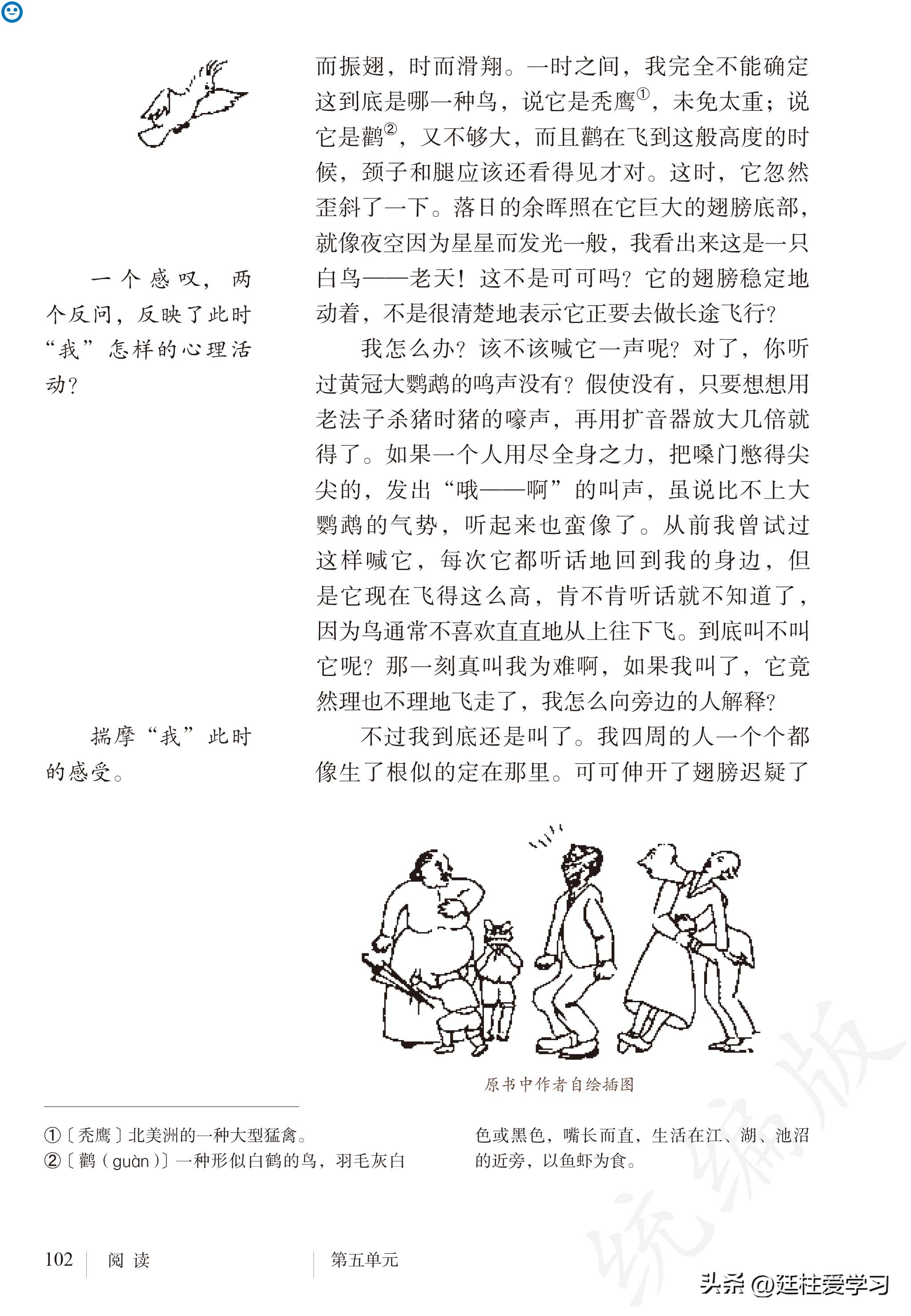 语文七年级上册电子版,语文七年级上册电子版课时练