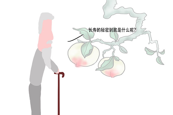 一辈子不吸烟喝酒会长寿吗,一辈子不喝酒会长寿吗