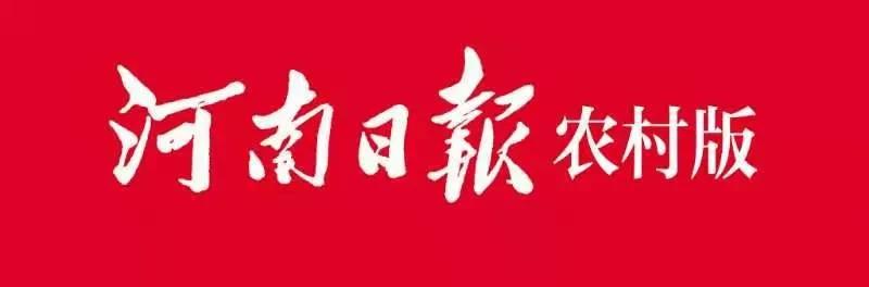 胃,你好吗?——访永城市人民医院医疗健康集团消化内镜中心常务副主任周杏丽
