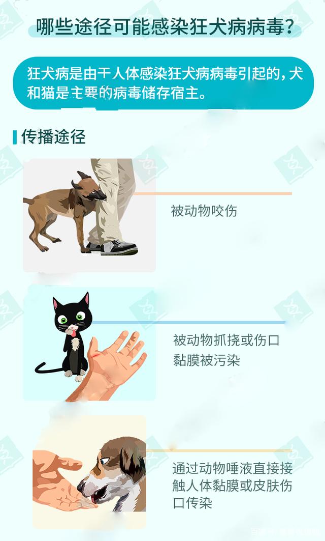 父亲被老鼠咬伤,陪读父母意外受伤