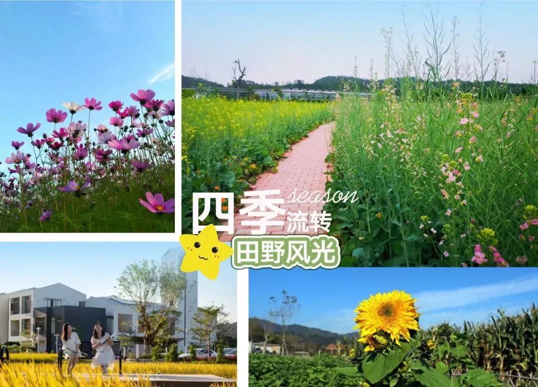 六一童真之旅,欢乐过六一儿童创意作品