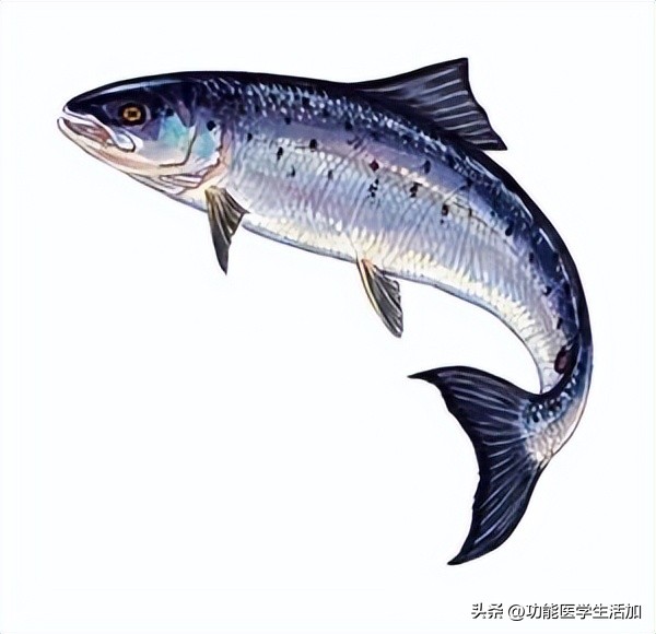 世界糖尿病日带您走进甜蜜陷阱,世界糖尿病日的原因是什么