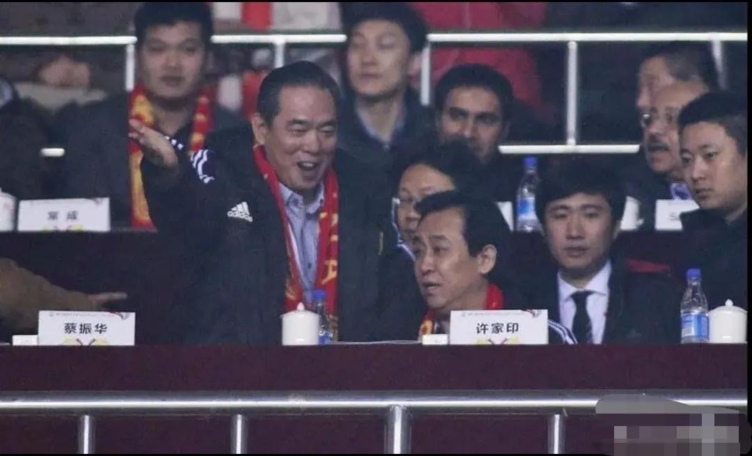盘点中国五大成功足协主席：个个毒花丛中过，片叶不沾身