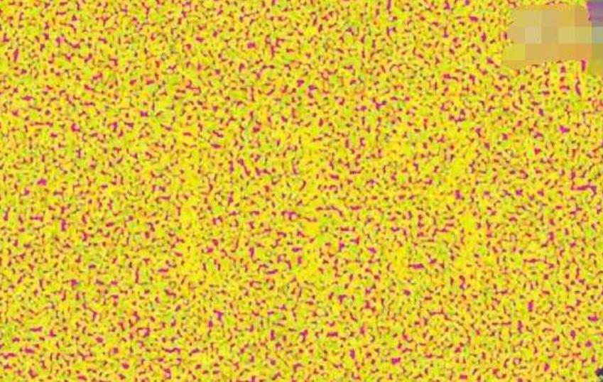 飞行员体检色盲图,最难的色盲色弱测试图片