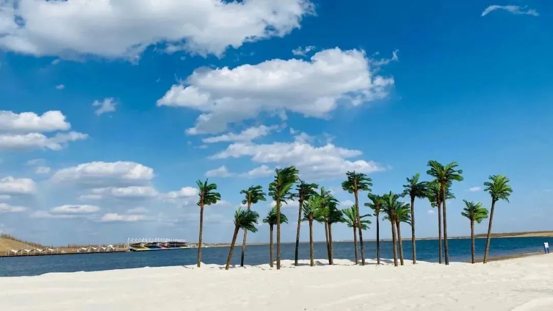 湿地可以开发什么旅游项目,黑龙江旅游必去十大湿地排名