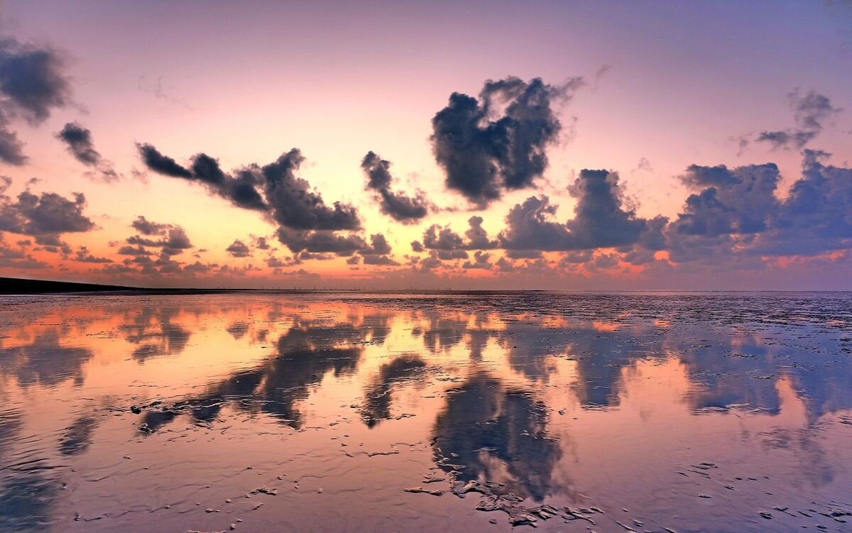 上海免费看海最好的地方,上海最佳免费观海地点