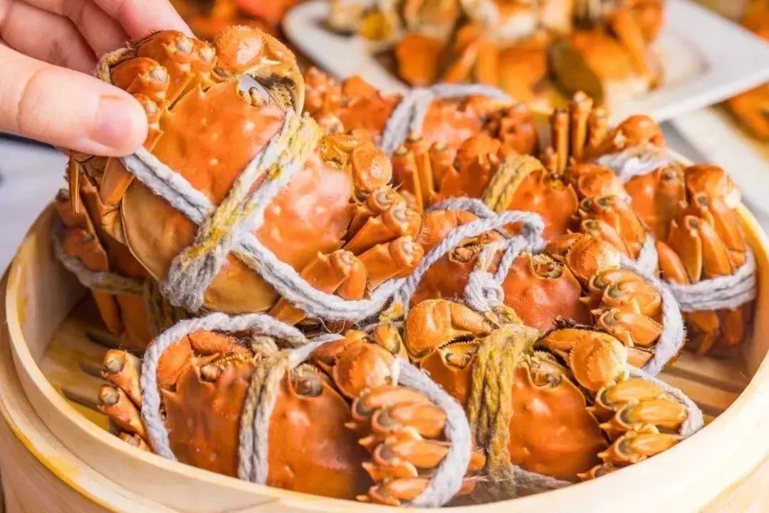 这个秋天最好的高端大闸蟹,秋风起蟹脚肥大闸蟹你吃了吗