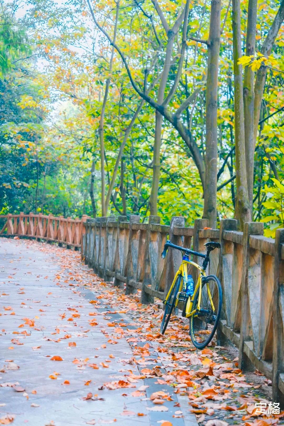 深圳最值得爬的景点,深圳十大最值得爬的山