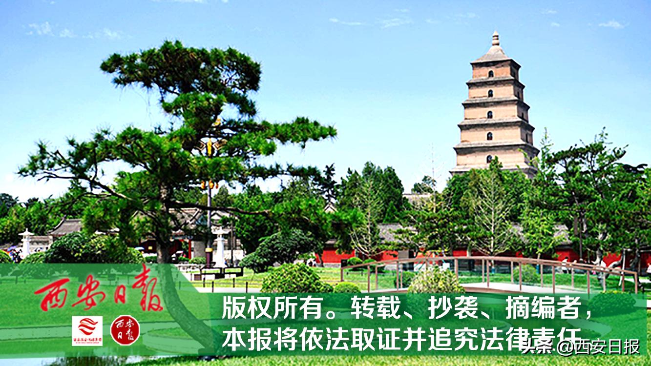 党建引领基层医疗服务能力提升,增强基层医疗实力