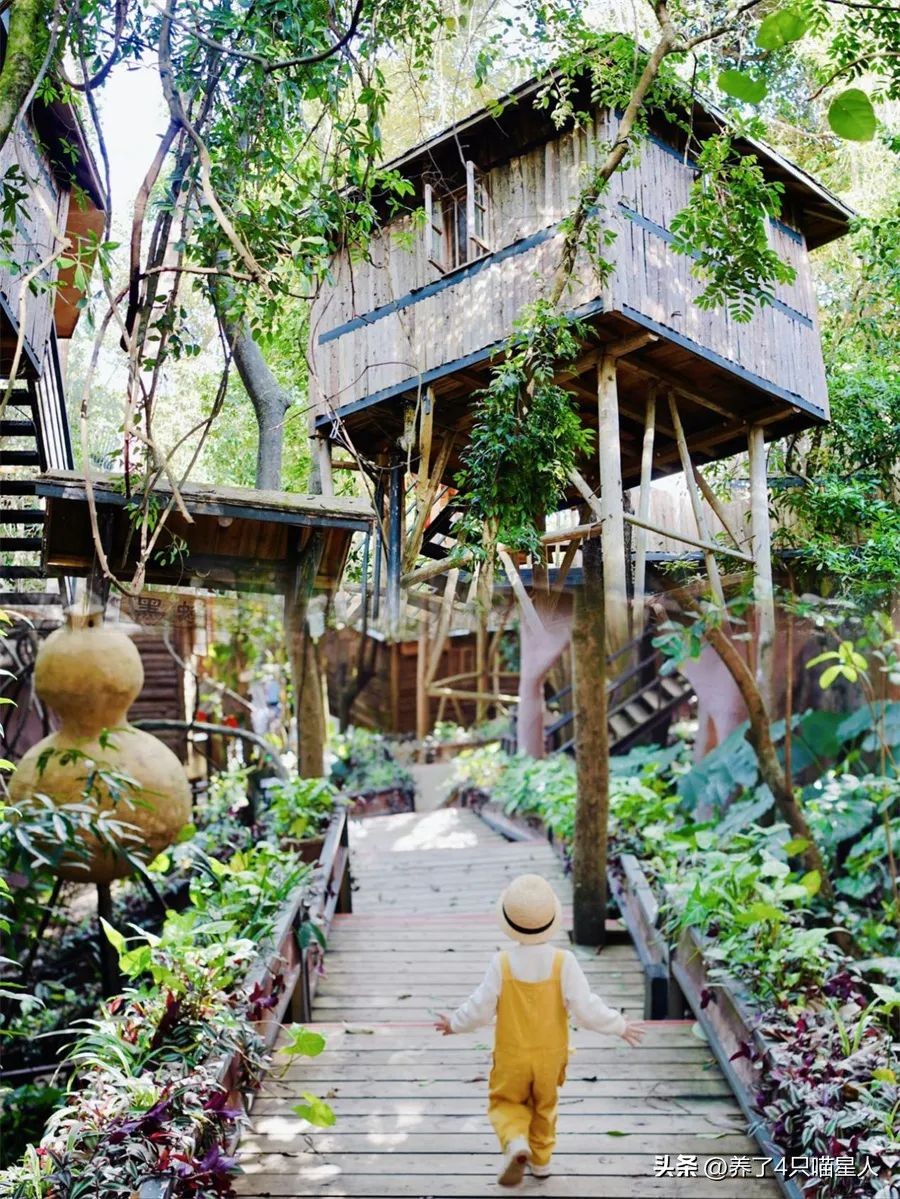 英德野渡谷轻奢民宿,清远住在山里的民宿