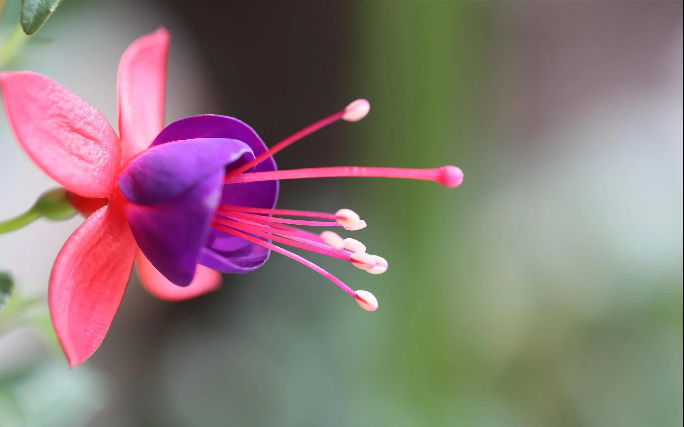 唯有坚强才能战胜困难,唯有坚强才能过得更好