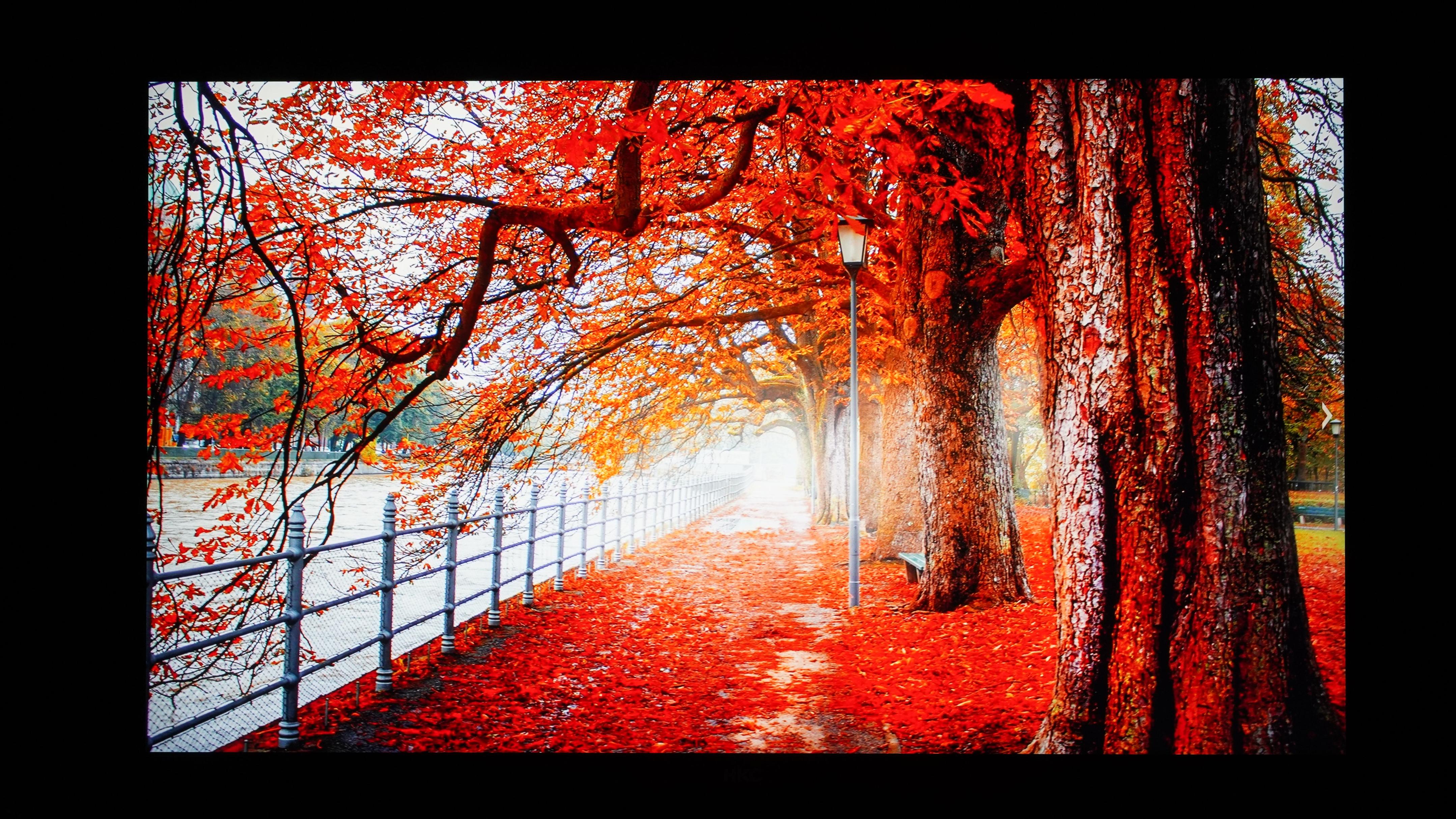 hkc显示器p272upro,hkcs24pro显示器测评