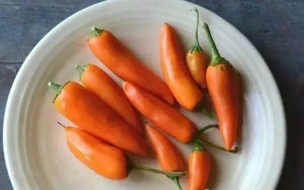 最辣的辣椒全球,全球超辣辣椒