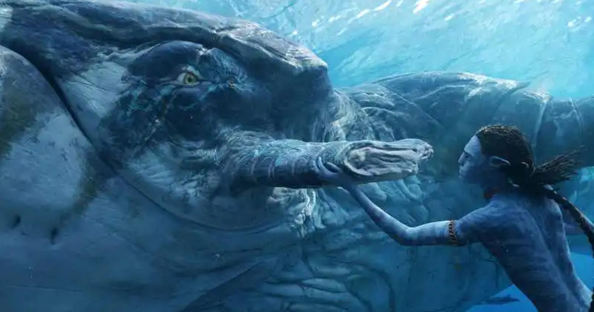 阿凡达2讽刺日本捕鲸船照片,阿凡达2讽刺日本捕鲸镜头