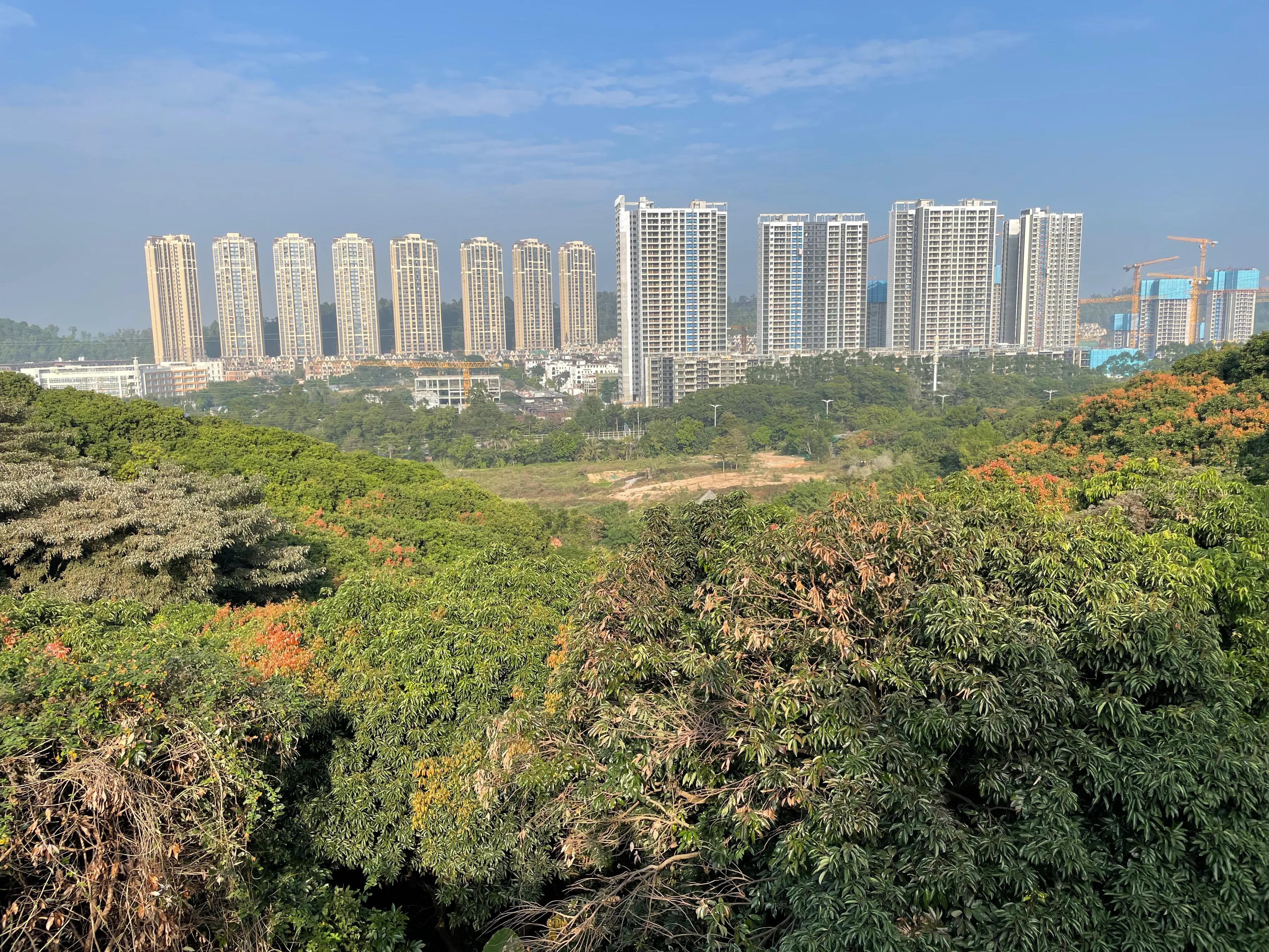 企龙山生态公园游玩攻略,龙山公园风景区