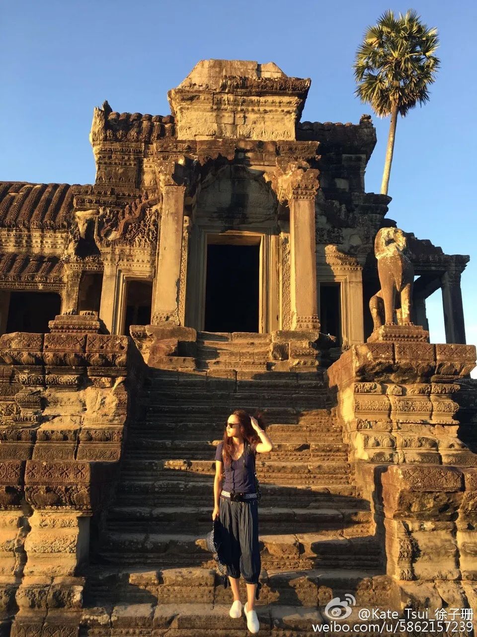 港姐冠军被骂出娱乐圈,24岁港姐冠军入行两年备受力捧