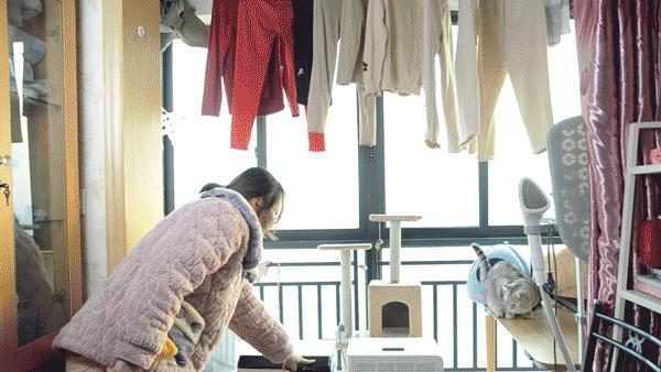 干衣除湿大作战：浦力适X40和德业D50怎么选？