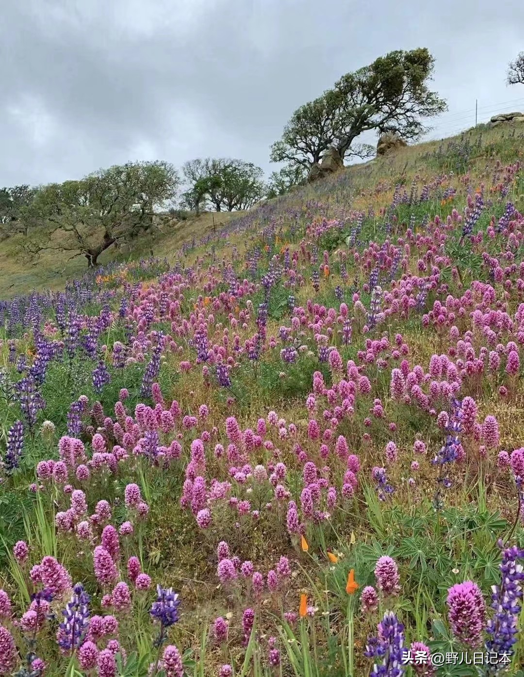 在银行做保洁的经历,我在银行做保洁