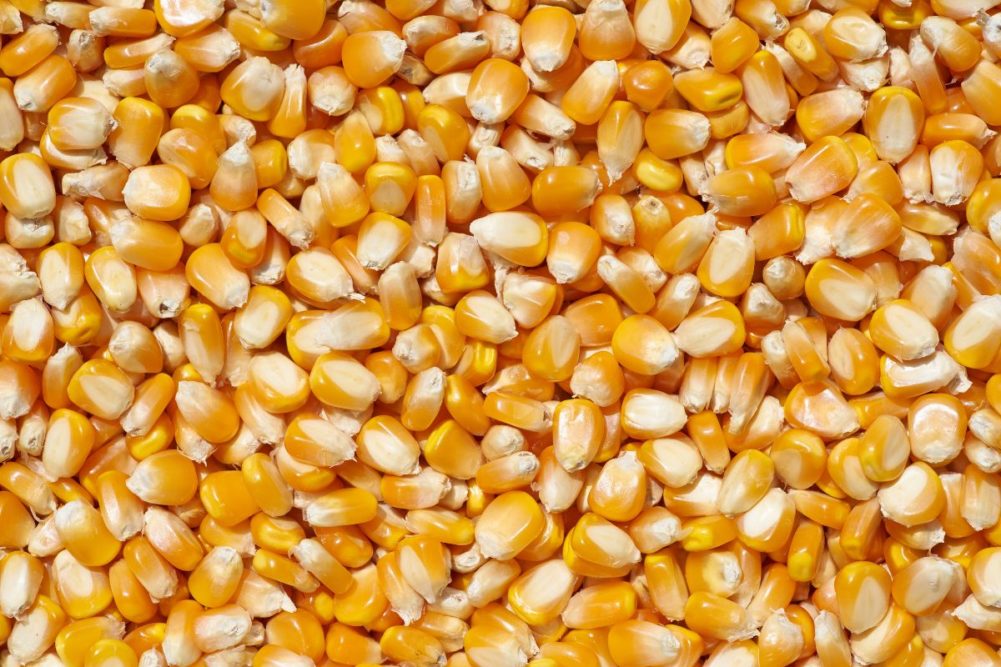 美农报告对8月份大豆走势影响图,美农报告大豆