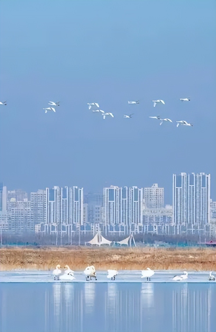 巴彦淖尔游玩推荐,巴彦淖尔旅游必去十大景点