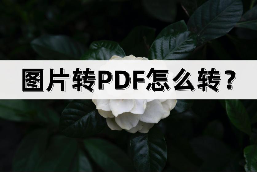 免费图片转pdf软件有哪些,iphone怎么把图片转成pdf