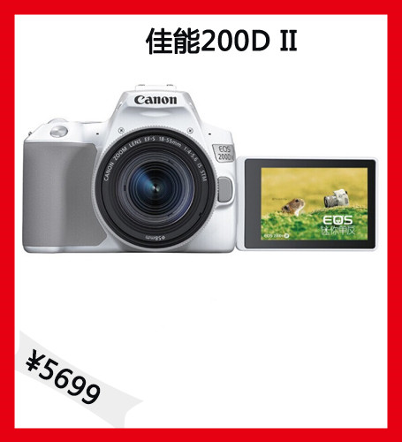 2022入门相机推荐排行榜性价比高,新手有哪些性价比高的相机推荐