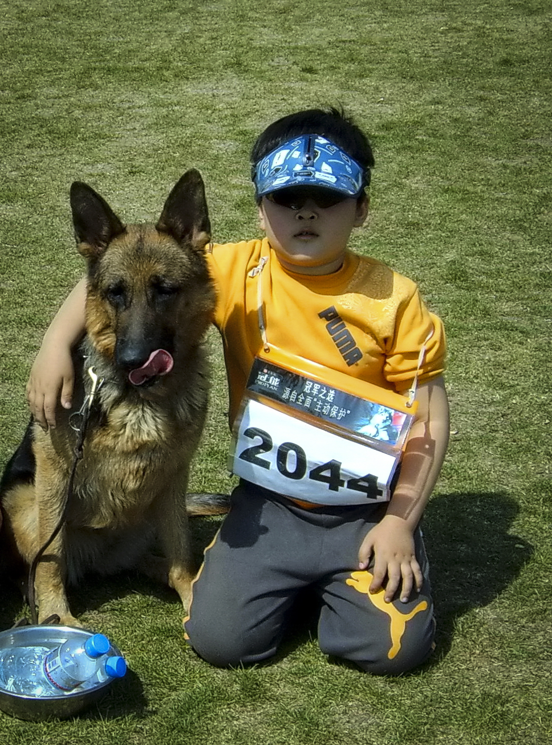 德牧养殖技术书籍大全,德牧饲养攻略