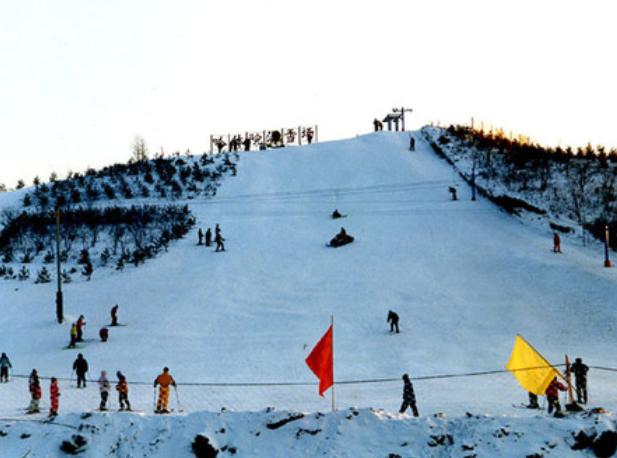 解说冬奥会高亭宇,冬奥高亭宇旗手