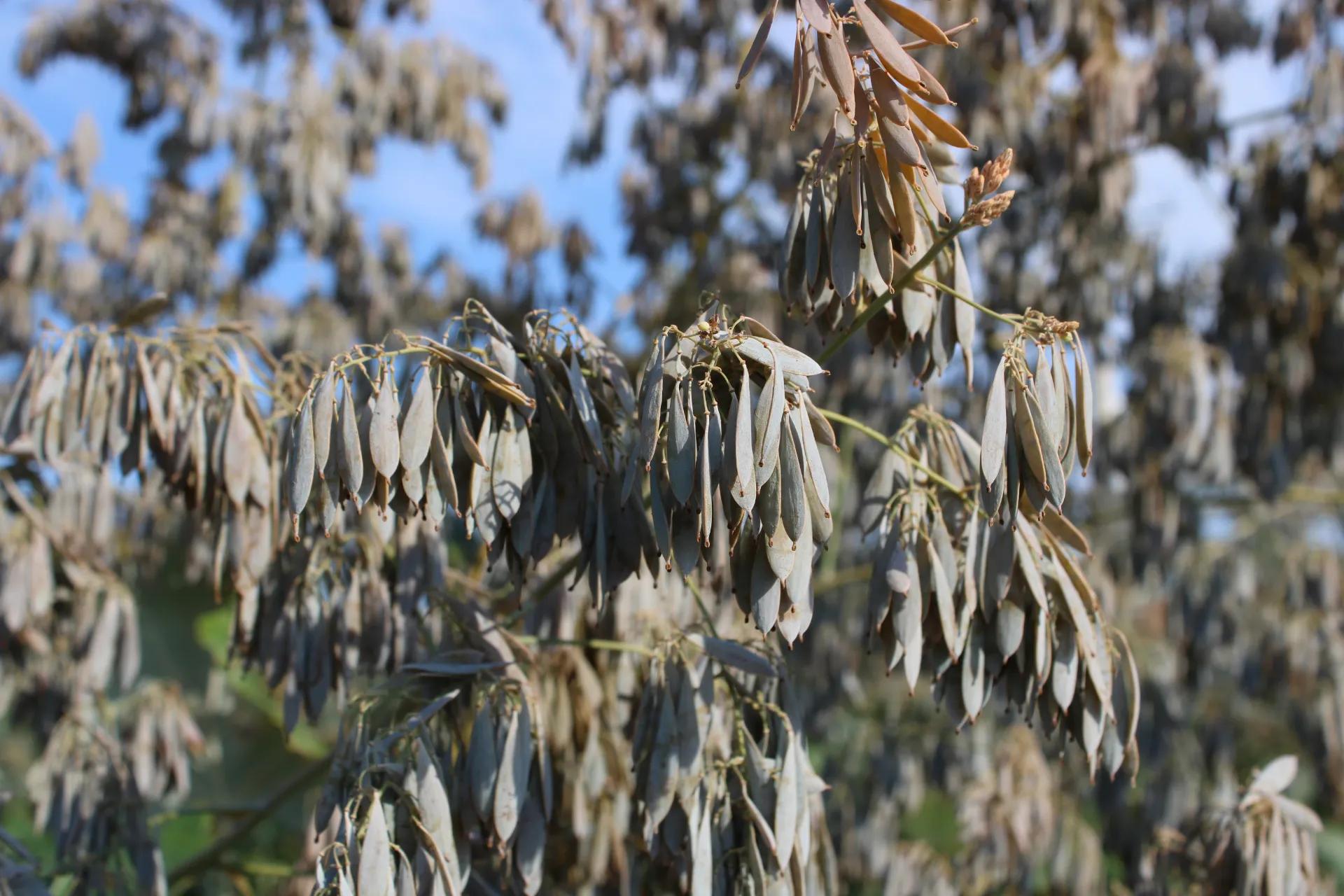 活水注入乡村振兴,乡村振兴的经验分享与最佳实践