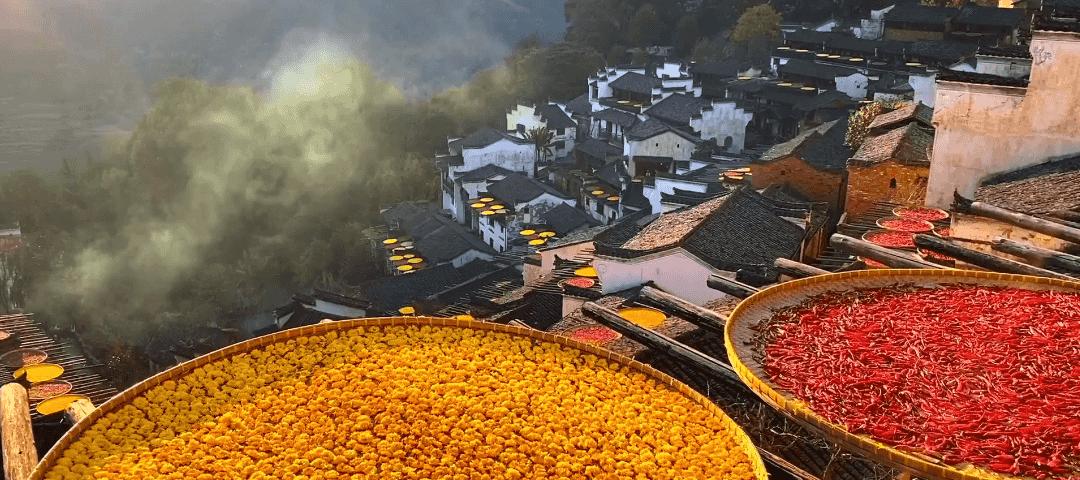 国际旅游村长峰会,第二届乡村旅游大会