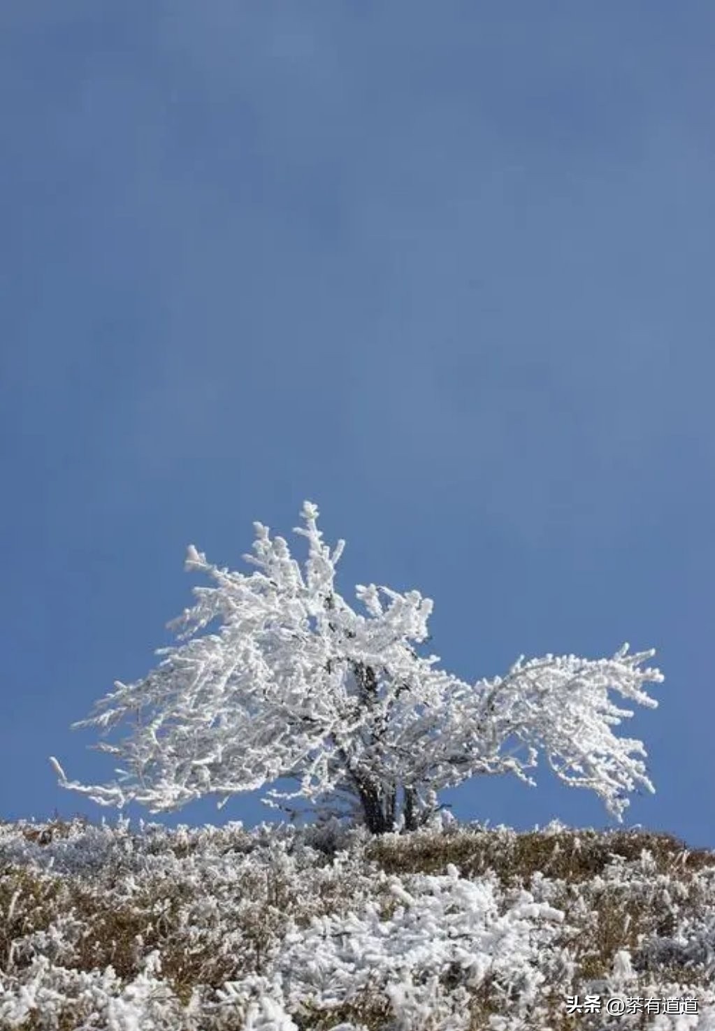 荥经茶马古道徒步线路,雅安荥经茶马古道穿越