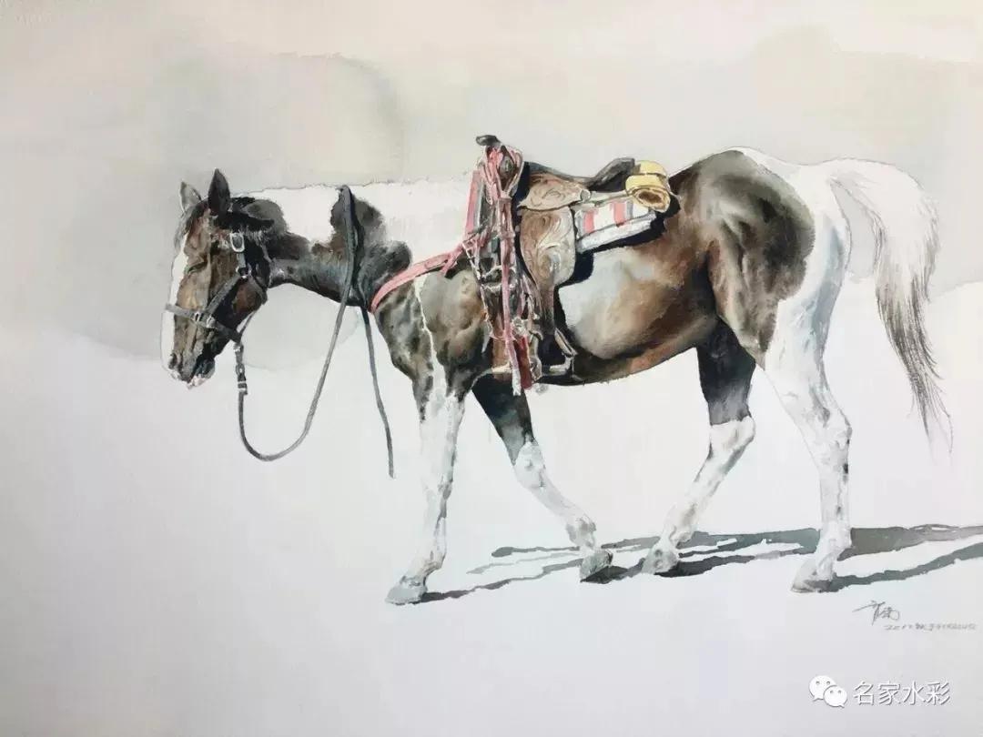 闯天下汗血宝马,放牧汗血宝马