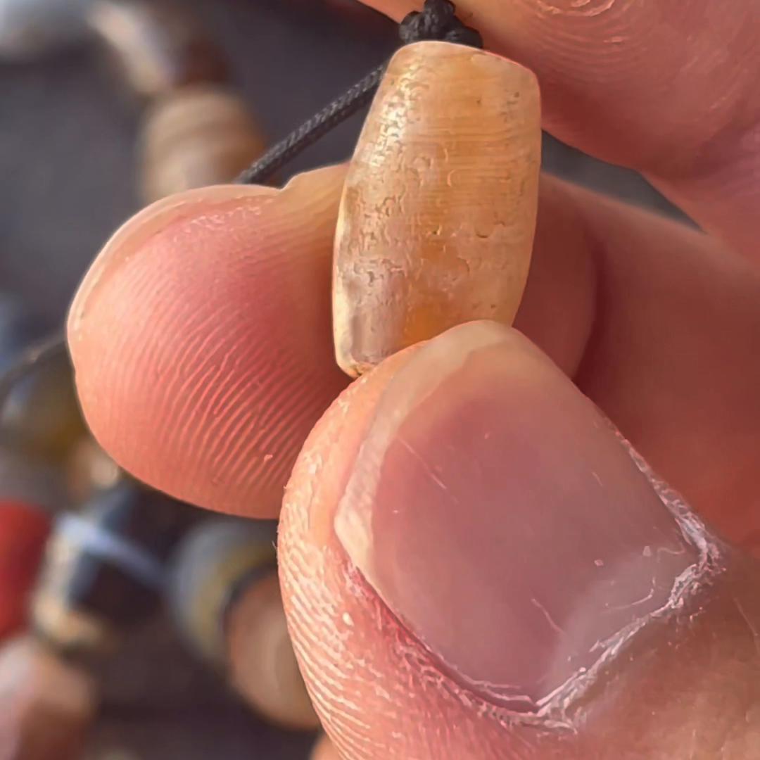 又好又老还便宜的以后只有梦里有#拉萨