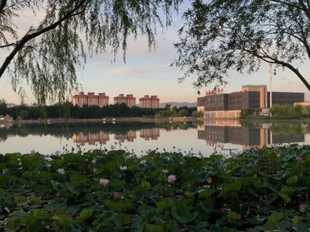 去宁夏旅游总结,宁夏中卫什么时间去旅游最佳