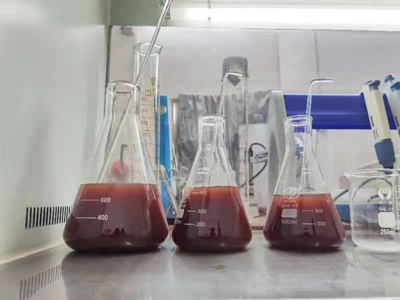 高起点建立新渔OD4.0！光合细菌会是一片新蓝海吗？