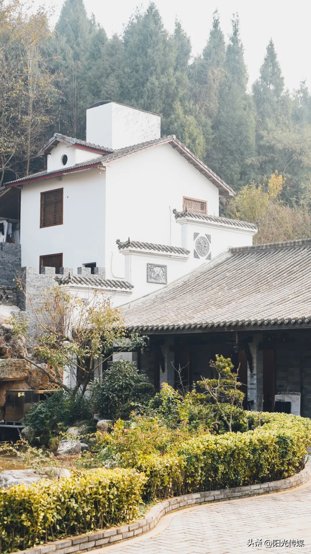 德阳市旌阳印象森林餐厅,旌阳印象森林餐厅地址