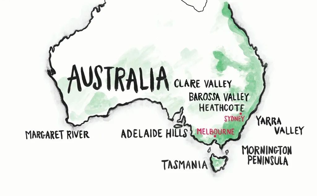 奔富葛兰许干红葡萄酒,奔富葛兰血葡萄酒