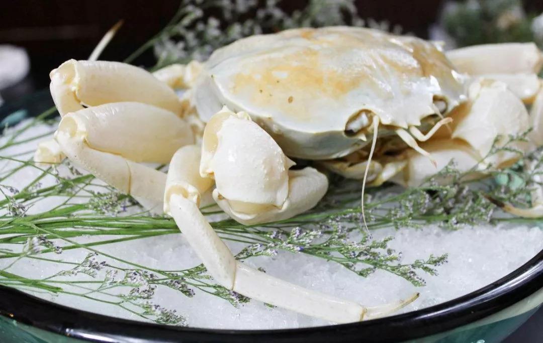 世界地图海鲜,澳大利亚最新海鲜图片