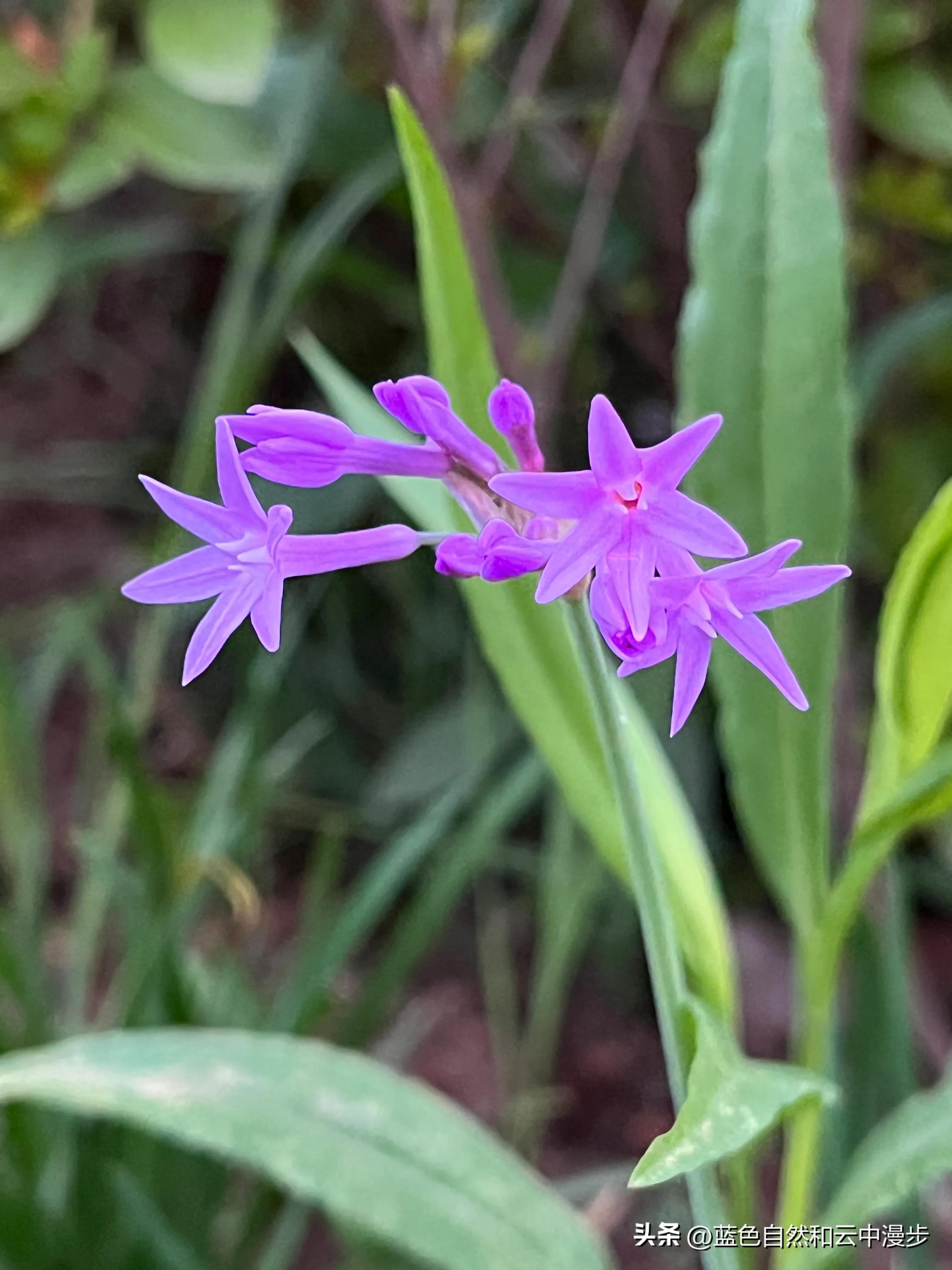 高中生找暑期工,找暑假工比较靠谱的方法