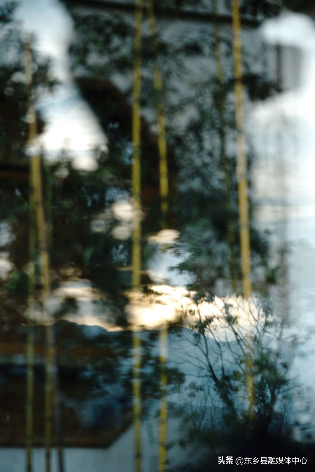 秋天丰收的雅称大全,秋天的雅称有哪几种