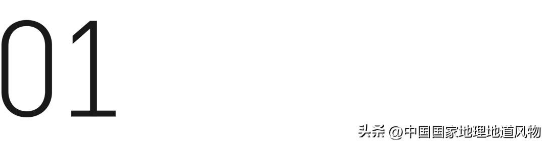 全国各地吃猪图鉴,哪个地方吃的猪最多