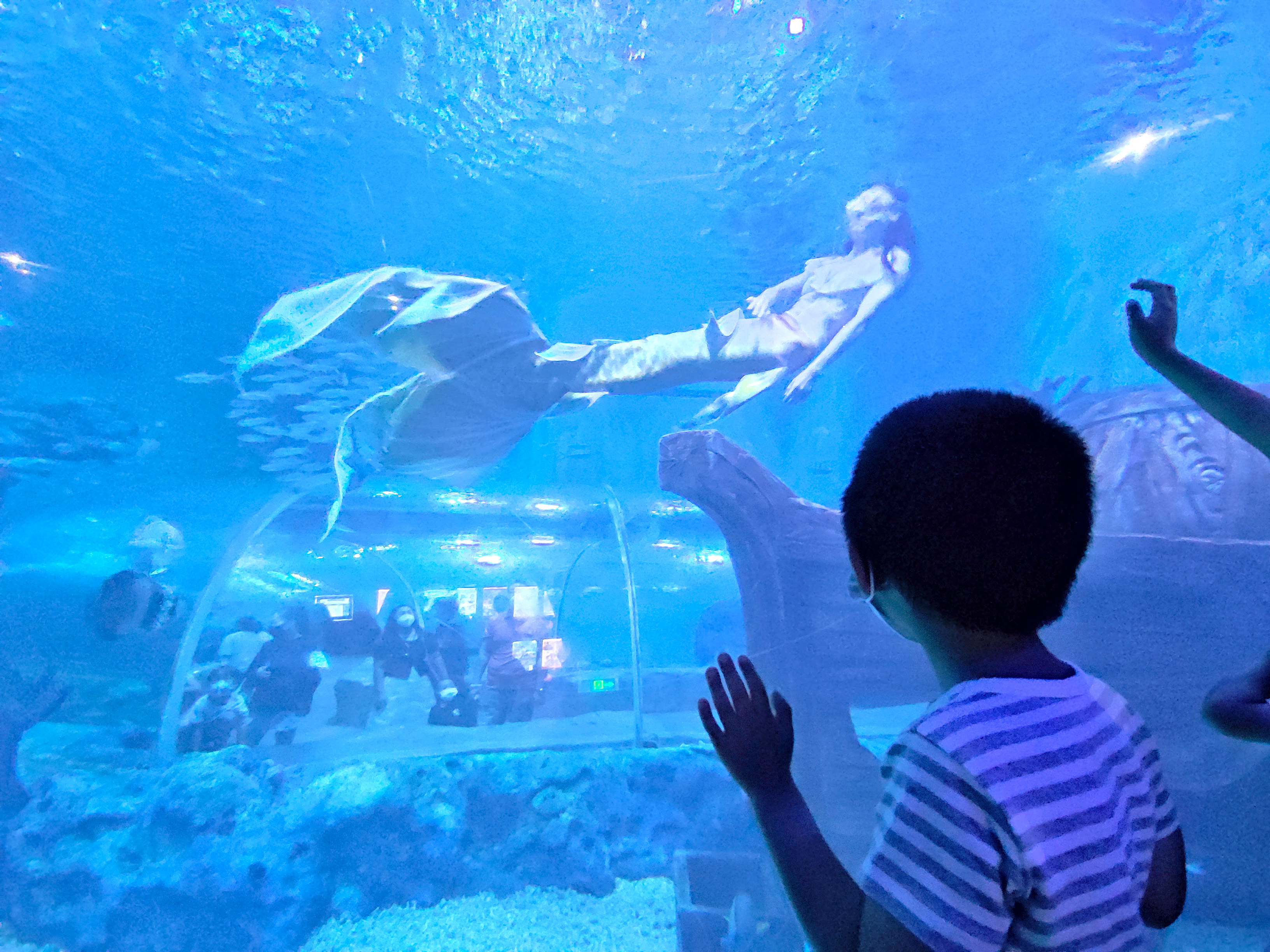 北京海底世界旅游区,北京海底世界游玩攻略