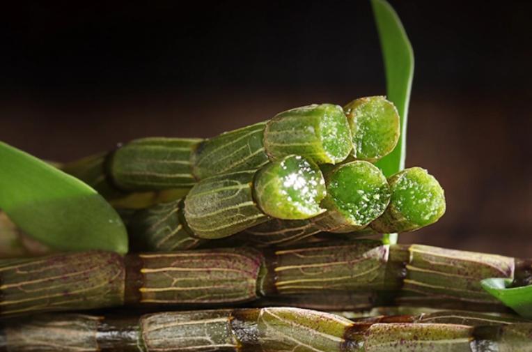 铁皮石斛种植方法和注意事项,种植铁皮石斛最好的方法