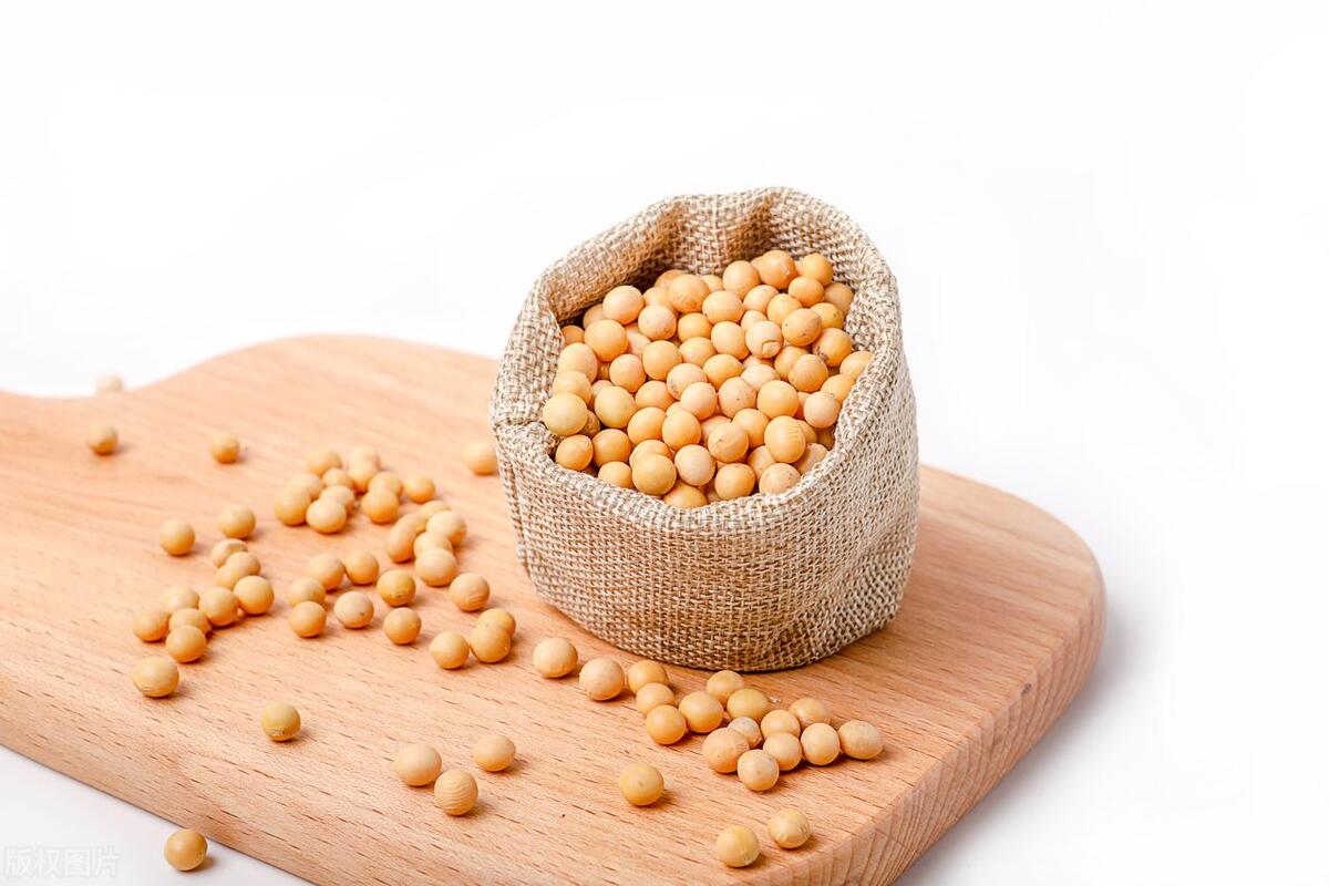 提高老年人免疫力吃什么蛋白粉,蛋白质高的食物能加强抵抗力