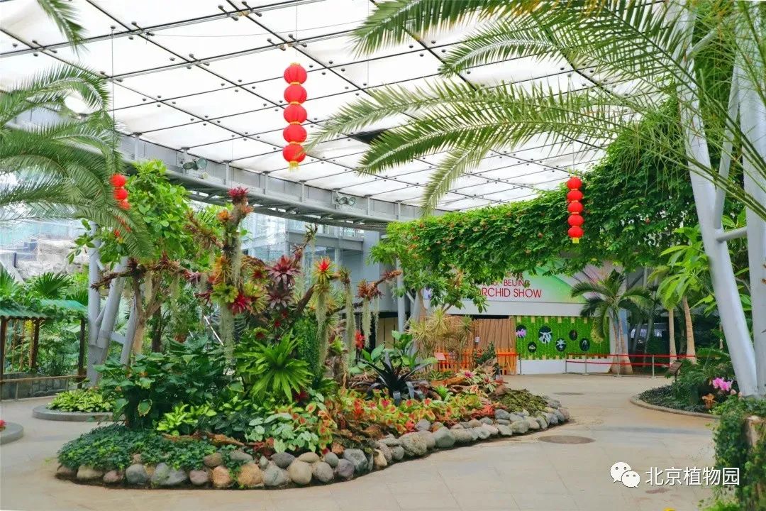北京植物园的赏花的最好时节,西山秘境惊艳北京的植物