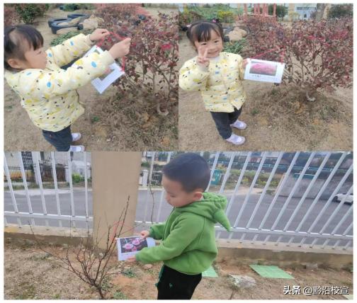 独山县城西童乐幼儿园:“春风十里,绿意萌动”