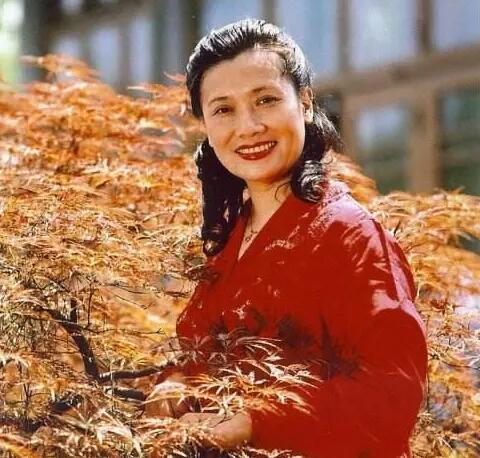 谷建芬老公追悼会,作曲家谷建芬晚年