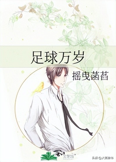 十大经典足球竞技小说,最好的足球网文