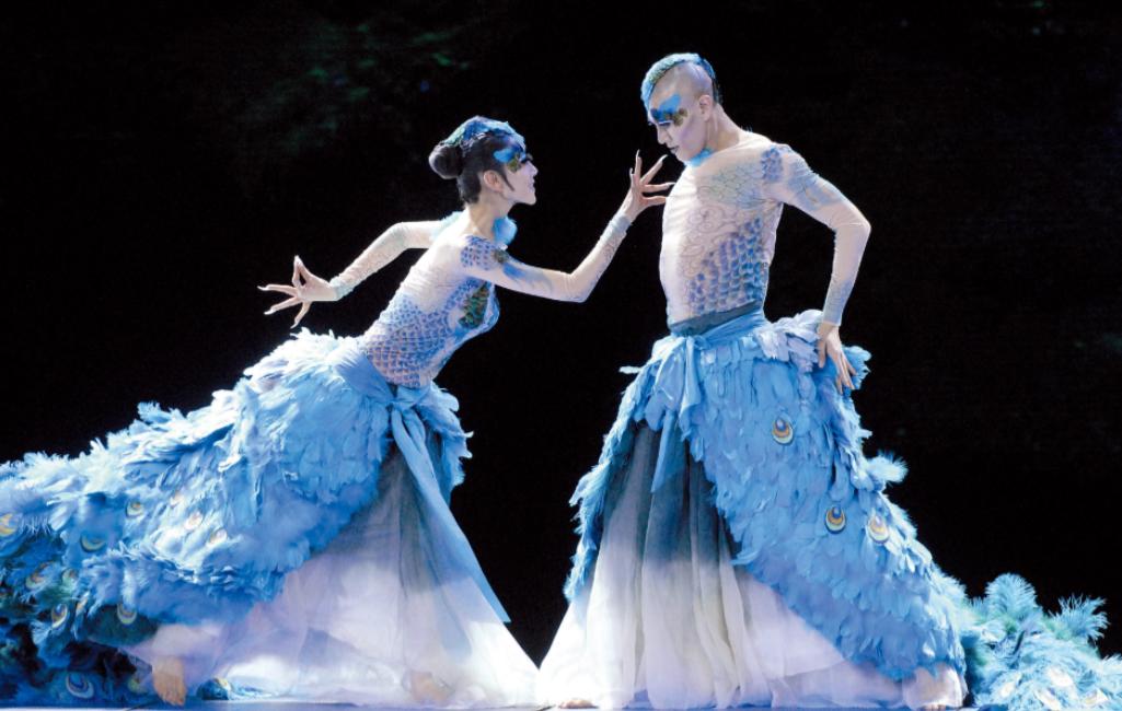 杨丽萍生活起居需要男助理照顾,杨丽萍的生活问题怎么解决