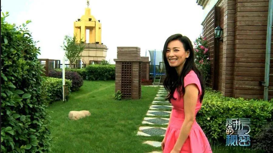 张庭夫妇传销大曝光,张庭夫妇怎么传销了